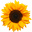 Olga Foreign logo